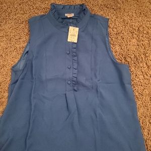 J.Crew Womens Blue Sleeveless Blouse size 10